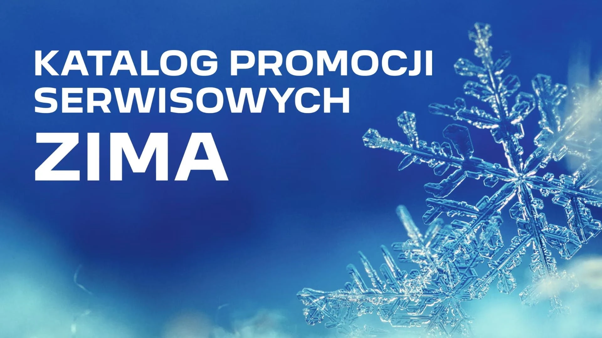 Autoryzowany Serwis Peugeot 2026